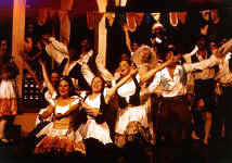 peri11.jpg (26533 bytes)